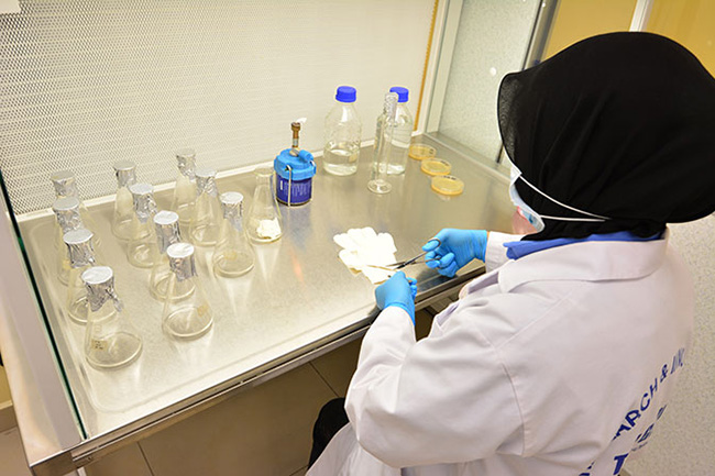 Micro-biological Laboratory
